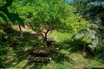Фото номера Дом с 5 спальнями Дома для отпуска Dacha г. Vardanavan 12